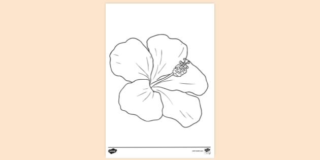 Hibiscus flower louring sheet louring sheets