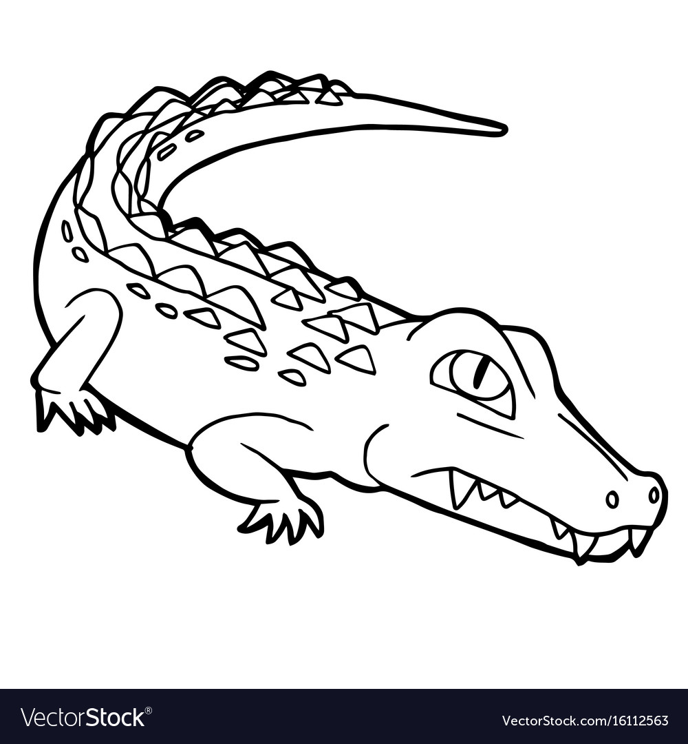 Cartoon cute crocodile coloring page royalty free vector