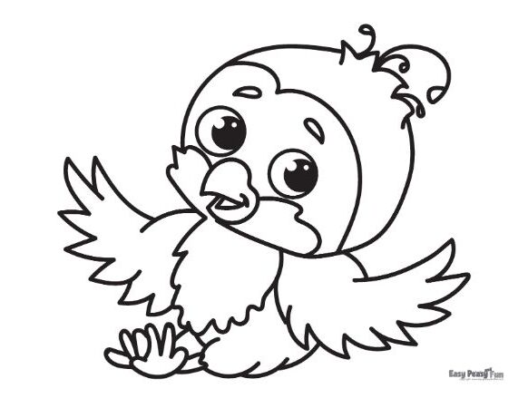 Printable bird coloring pages