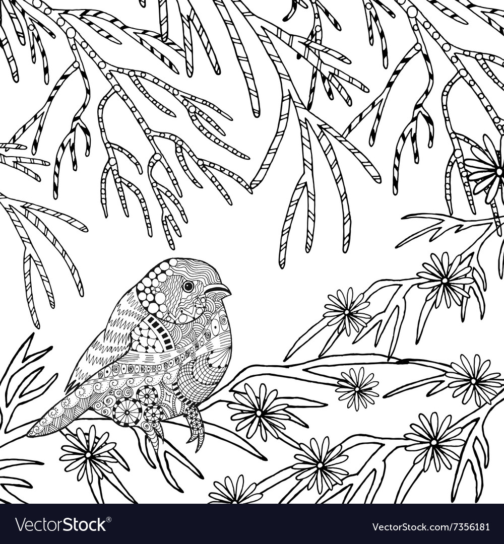 Cute bird coloring page royalty free vector image