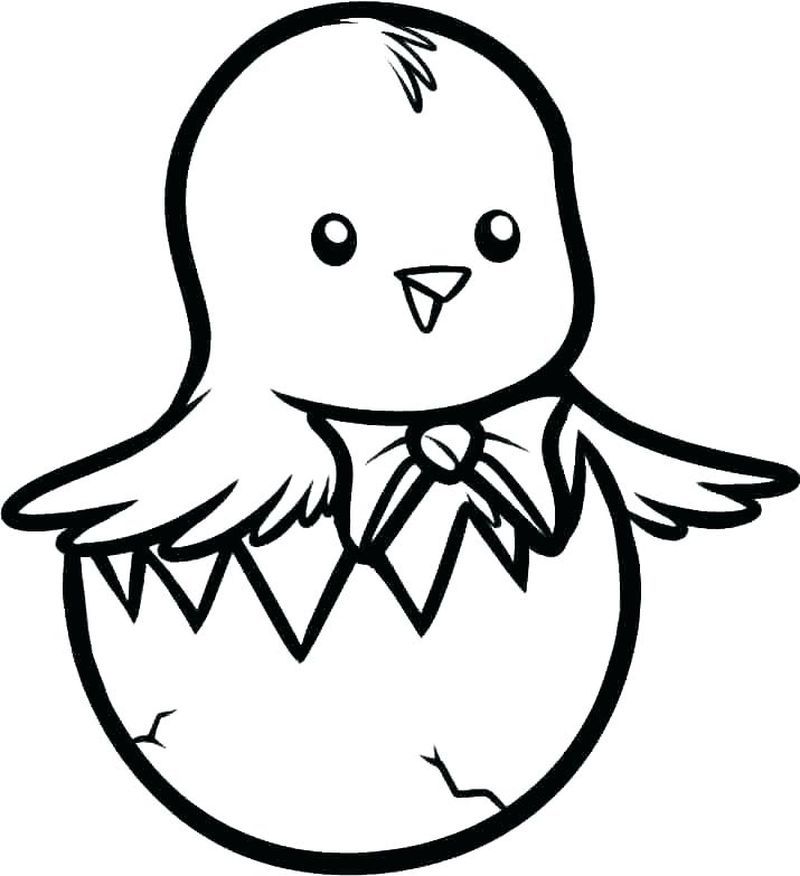 Cute chicken coloring pages pdf for children