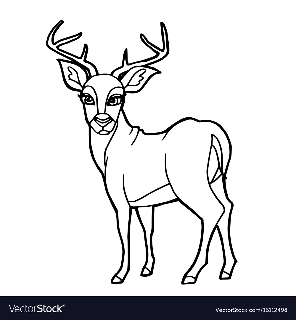 Cartoon cute deer coloring page royalty free vector image