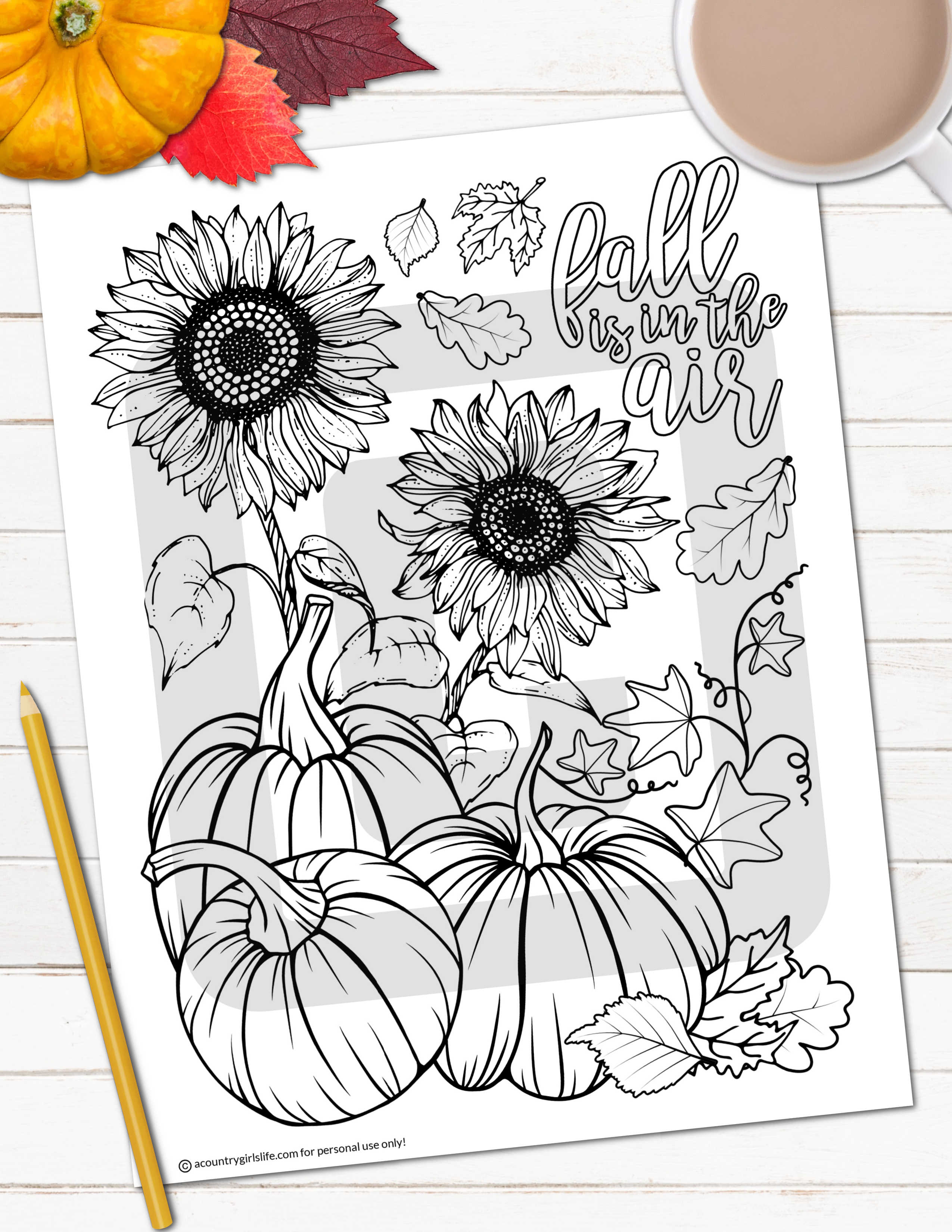 Free fall coloring pages for adults cute