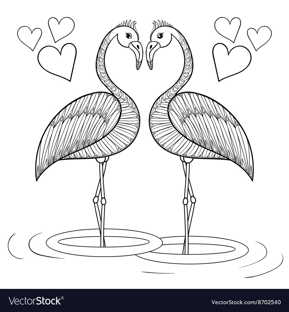 Coloring page with flamingo birds in love vector image