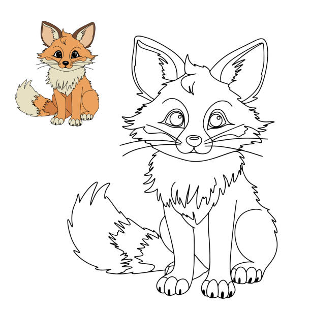Coloring pages wild animals little cute fox stock illustrations royalty