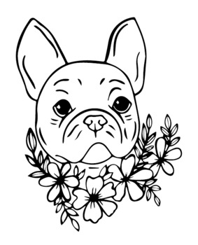 Bulldog coloring book beautiful cute english and french bulldog