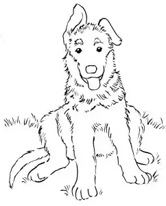 Best german shepherd coloring pages
