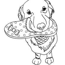 German shepherd puppy coloring pages