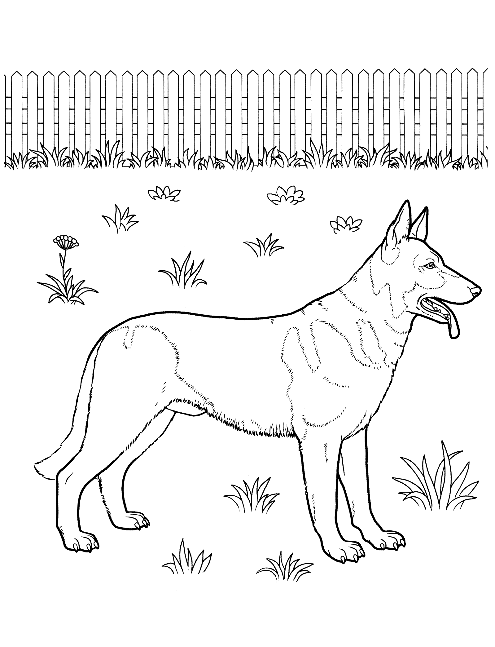 Coloring page