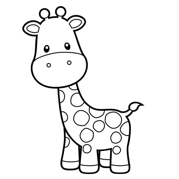Cute giraffe coloring page vector illustration on white stock illustration