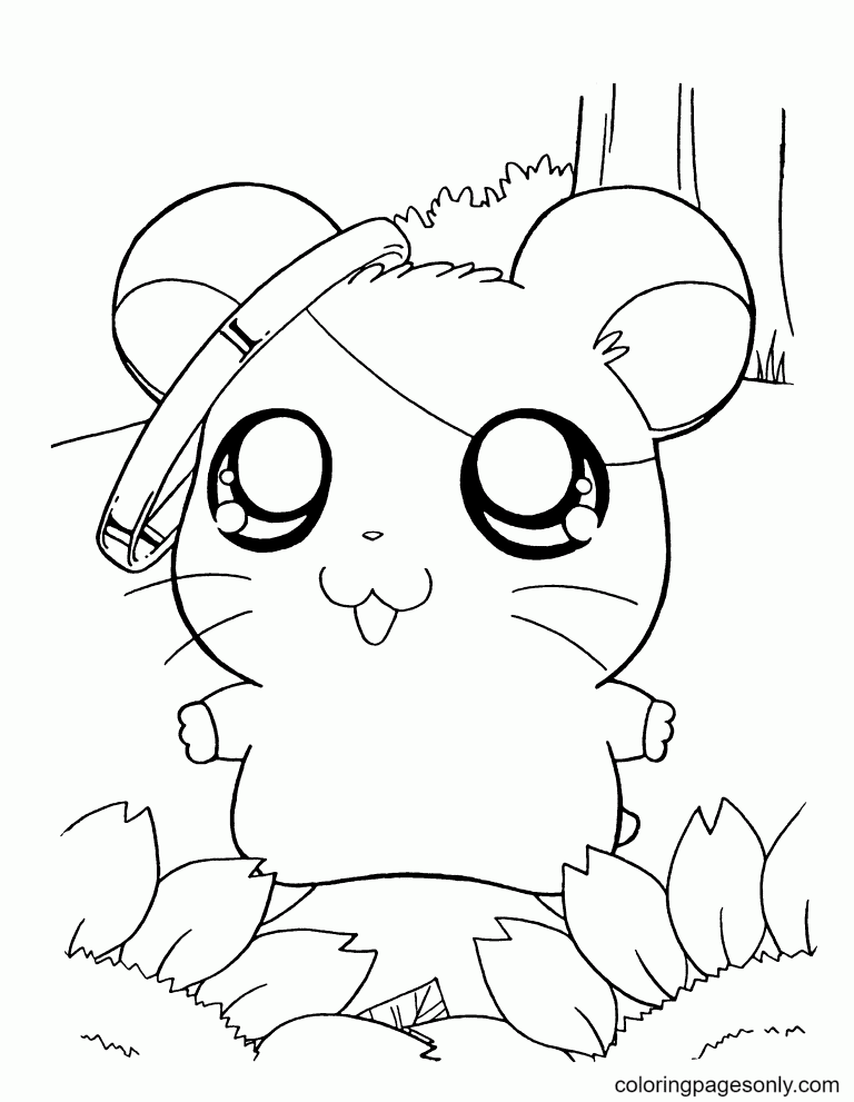 Hamster coloring pages printable for free download