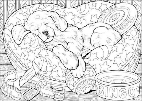 Animal coloring pages cute coloring pages dog coloring page