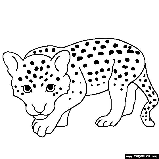 Baby leopard coloring page dinosaur coloring pages baby leopard coloring pages