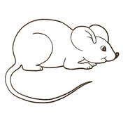 Mice coloring pages free coloring pages