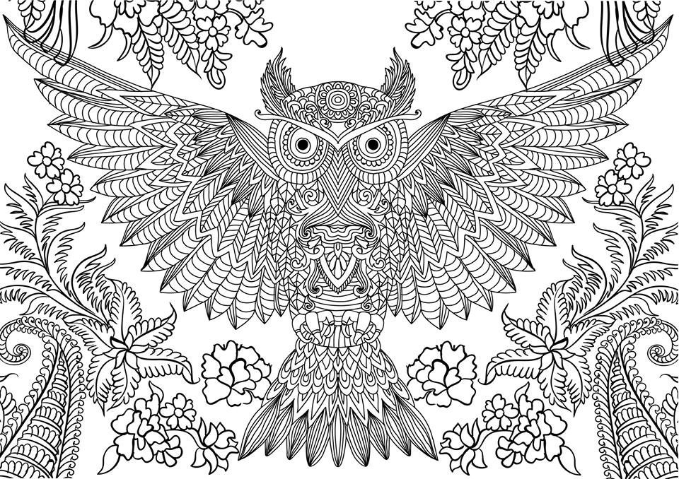 Difficult owl coloring page for adults owl coloring pages animal coloring pages detailed coloring pages