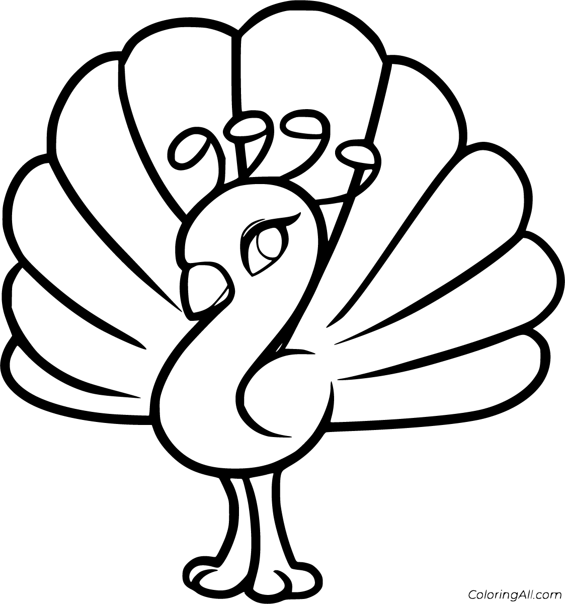 Peacock coloring pages