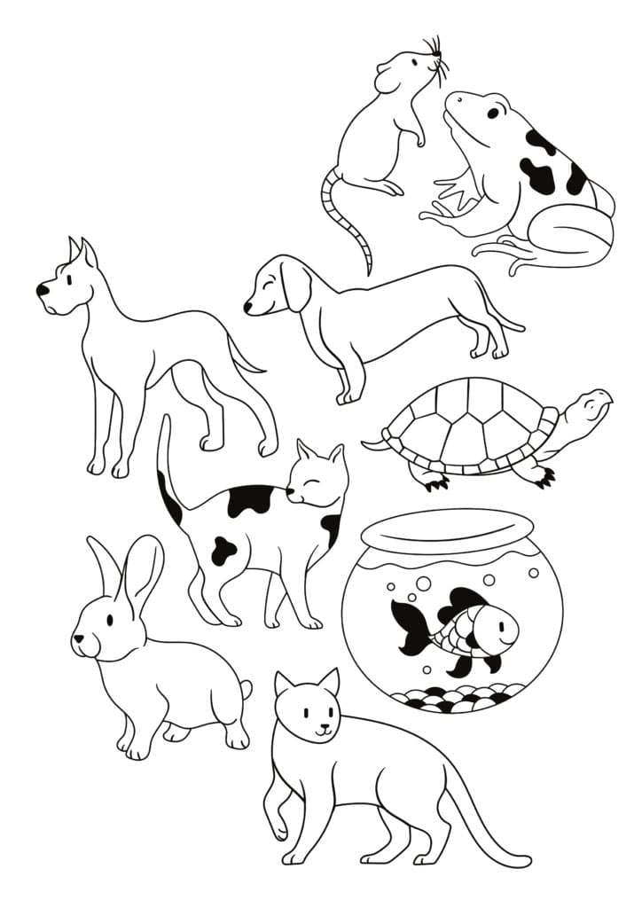 Cute pets coloring page