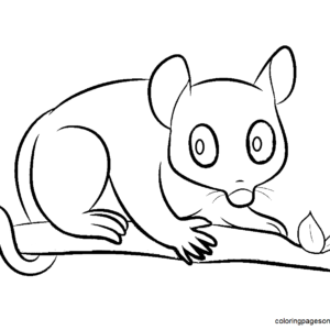 Opossum coloring pages printable for free download