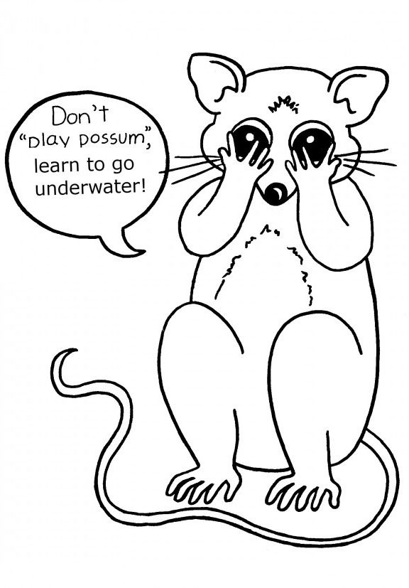 Animal coloring pages