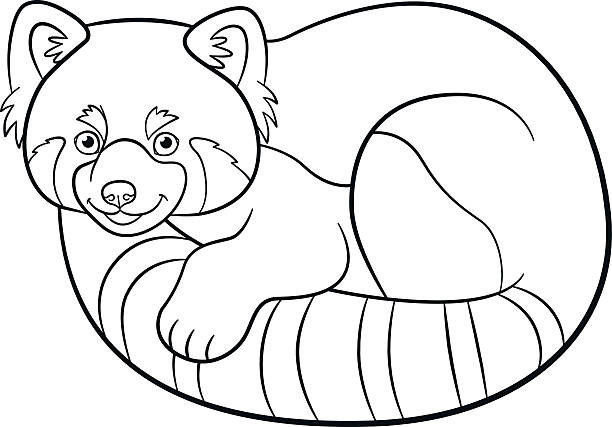 Coloring pages little cute red panda stock illustration