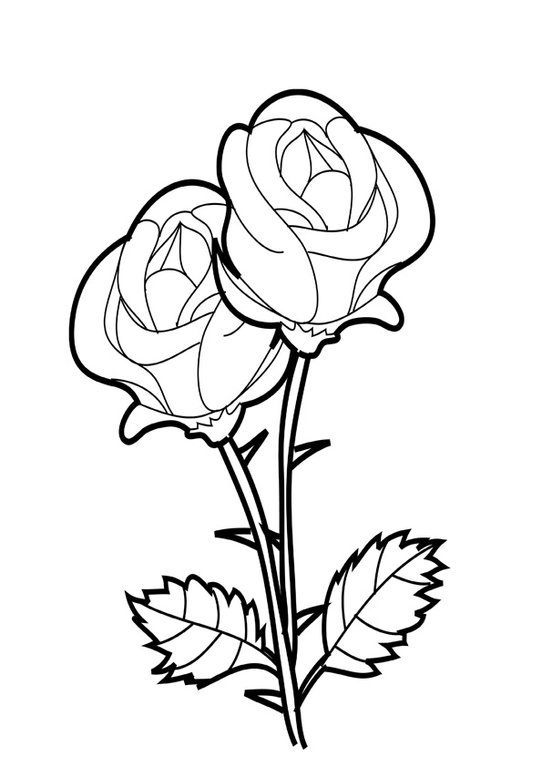 Coloring pages beautiful rose coloring pages