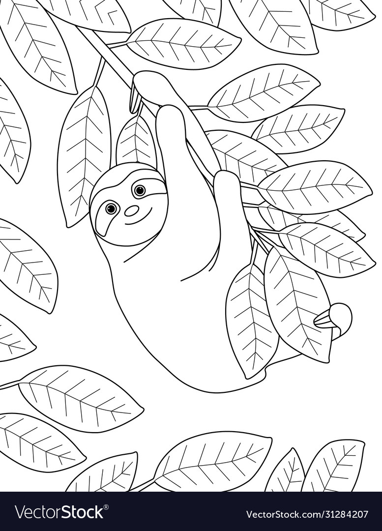 Fun coloring book with cute sloth royalty free vector image