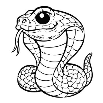 Coloring book snakes images â browse photos vectors and video