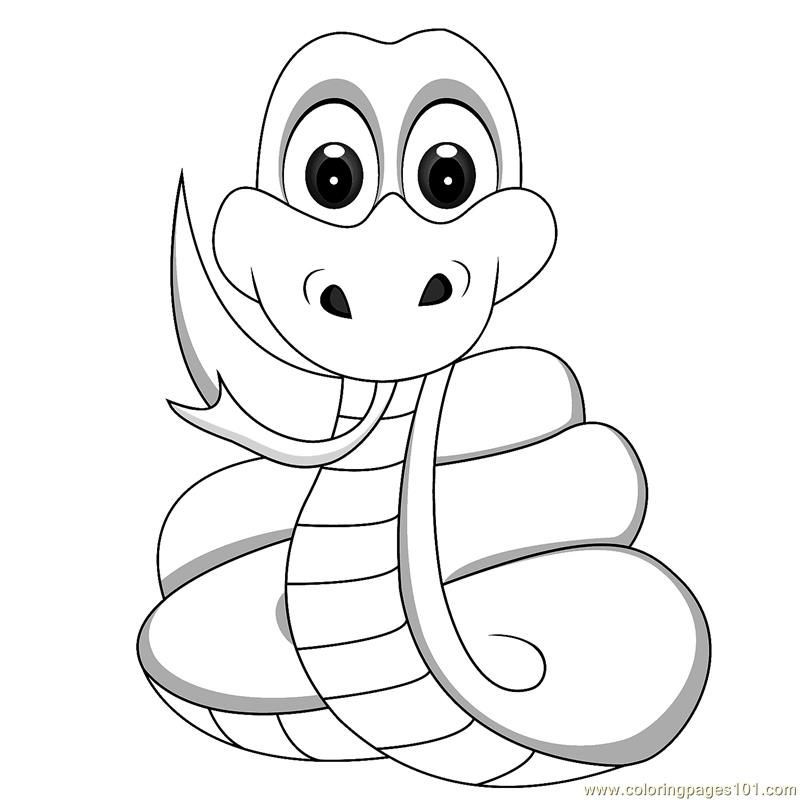 Coloring pages of snakes