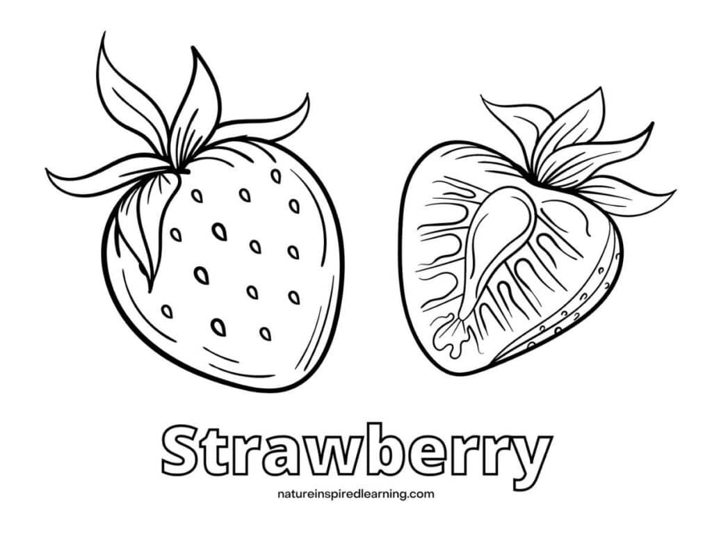 Strawberry coloring pages