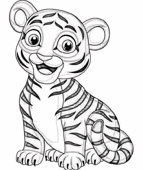 Cute tiger colorg page colorg pages drawg for kids colourg pages