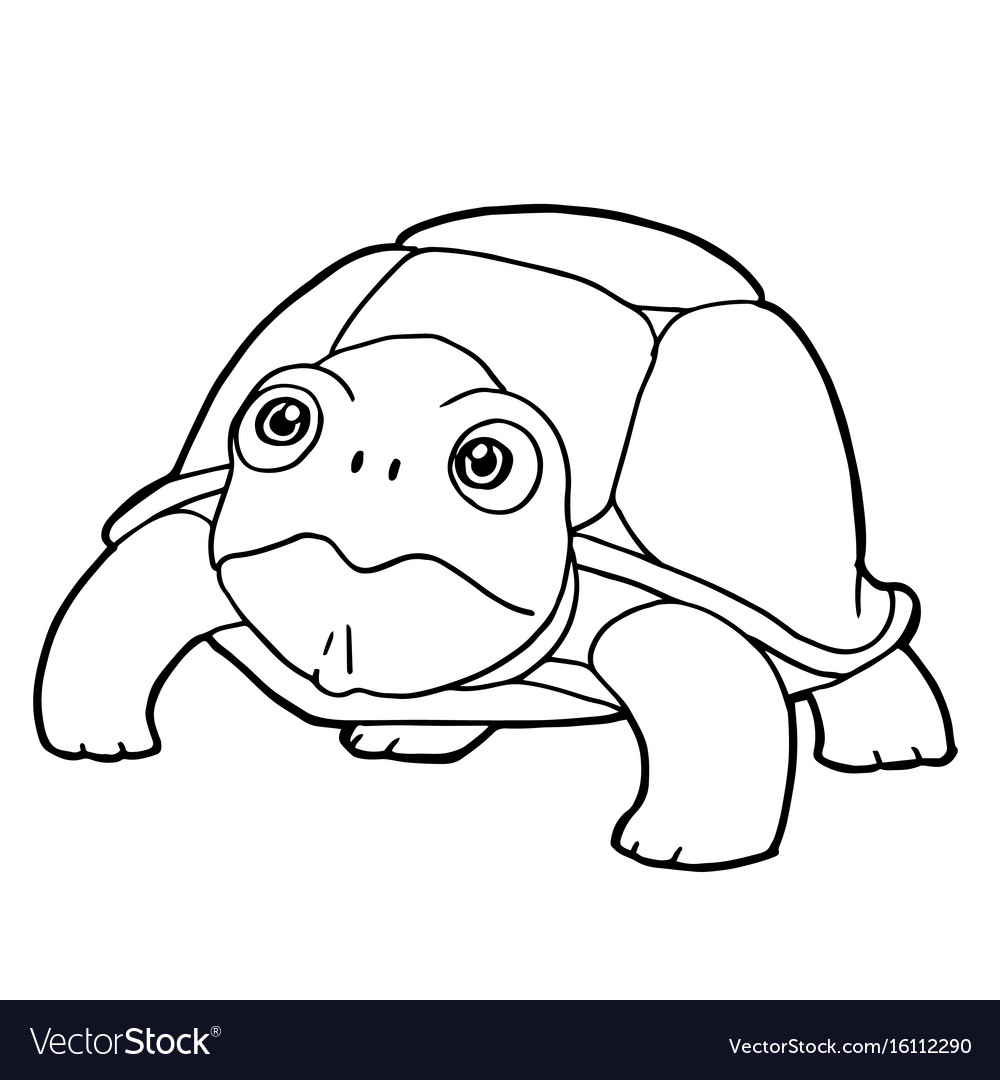 Cartoon cute turtle coloring page royalty free vector image