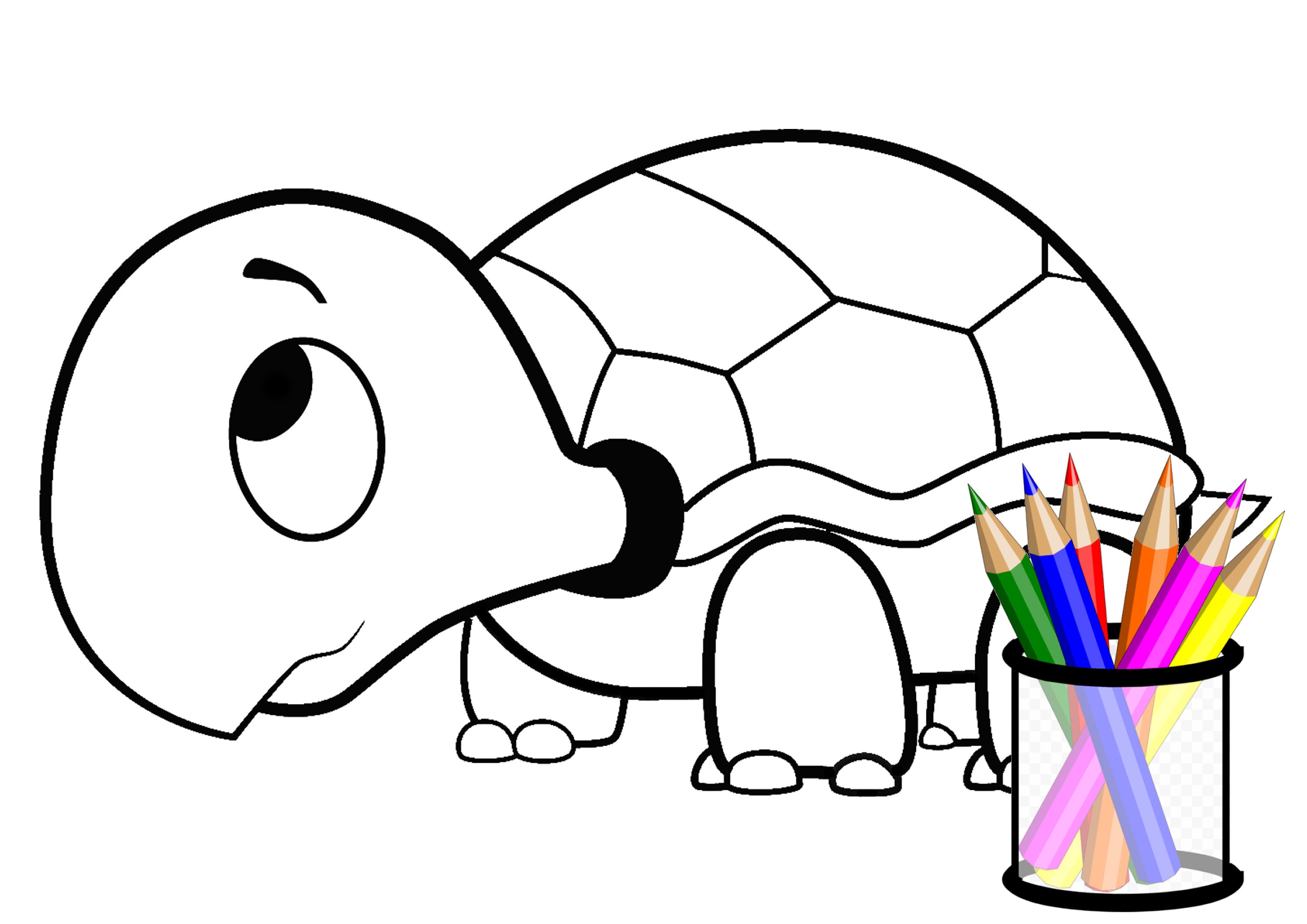 Cute turtle coloring page instant download
