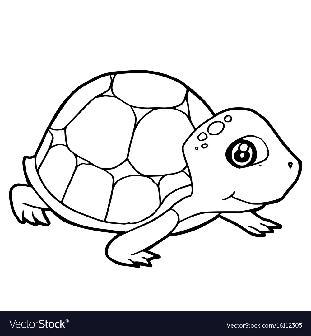Cartoon cute turtle coloring page royalty free vector image