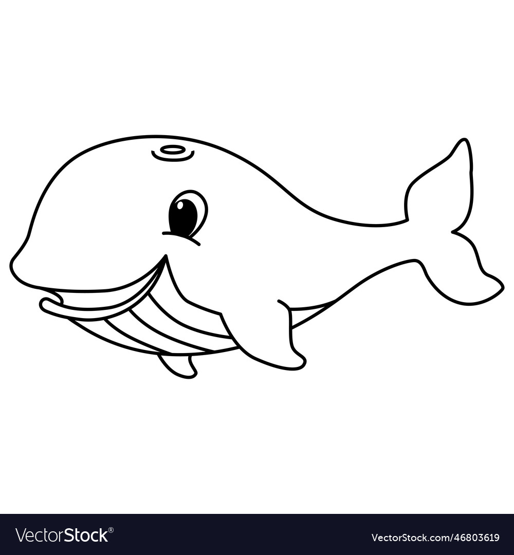 Cute whale cartoon coloring page for kids vector image