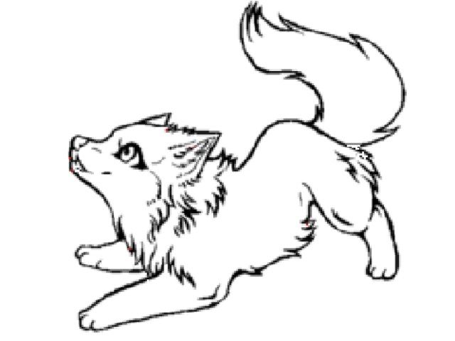 Excellent image of wolf coloring pages