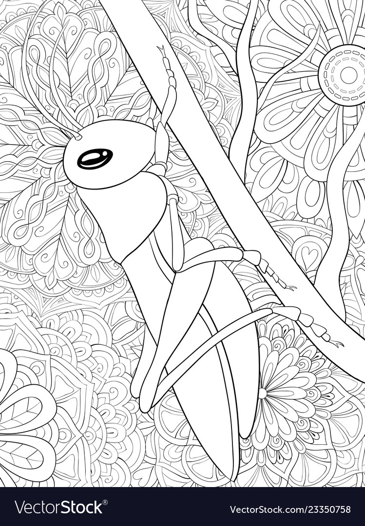 Adult coloring bookpage a cute cricket royalty free vector
