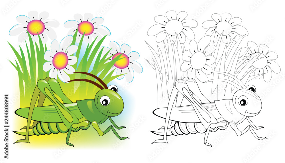 Fantasy illustration of cute cricket colorful and black and white page for coloring book printable worksheet for children and adults vector cartoon image vector