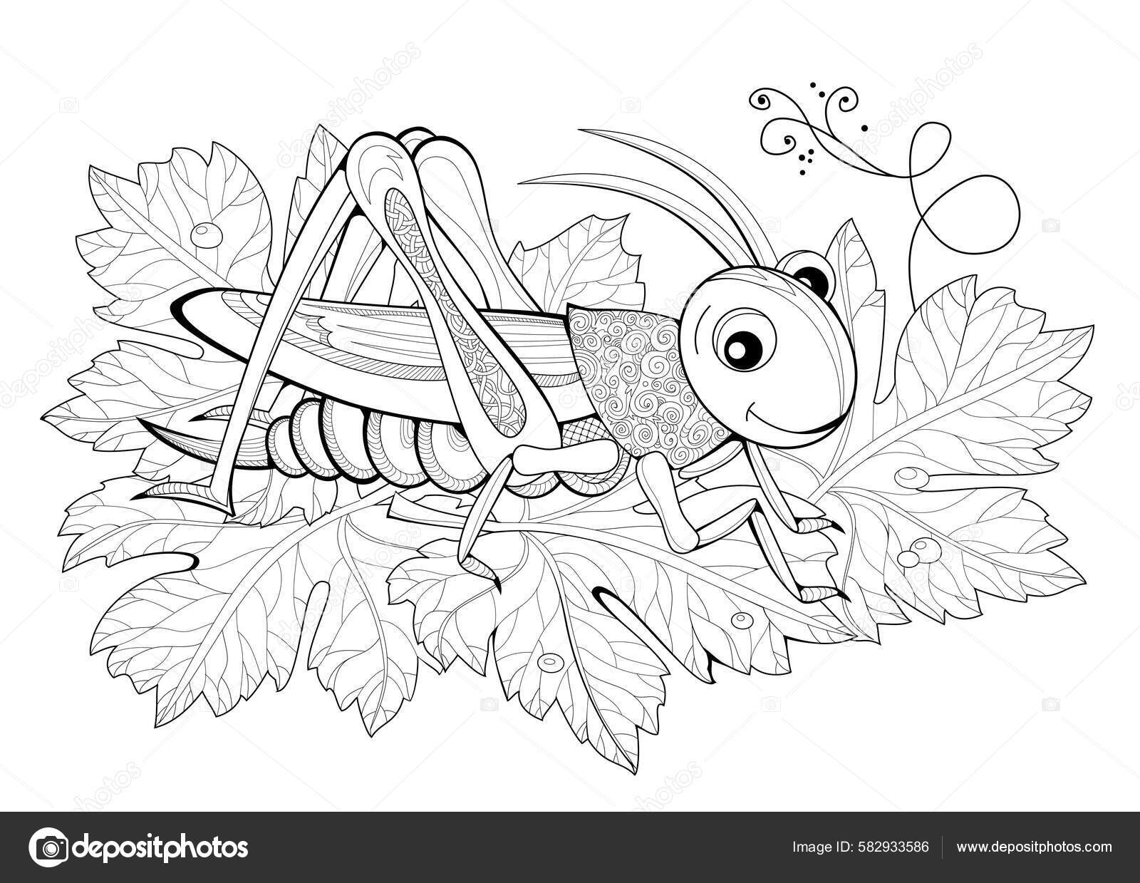 Cute cricket coloring book children adults illustration zentangle style printable vektor av nataljacernecka