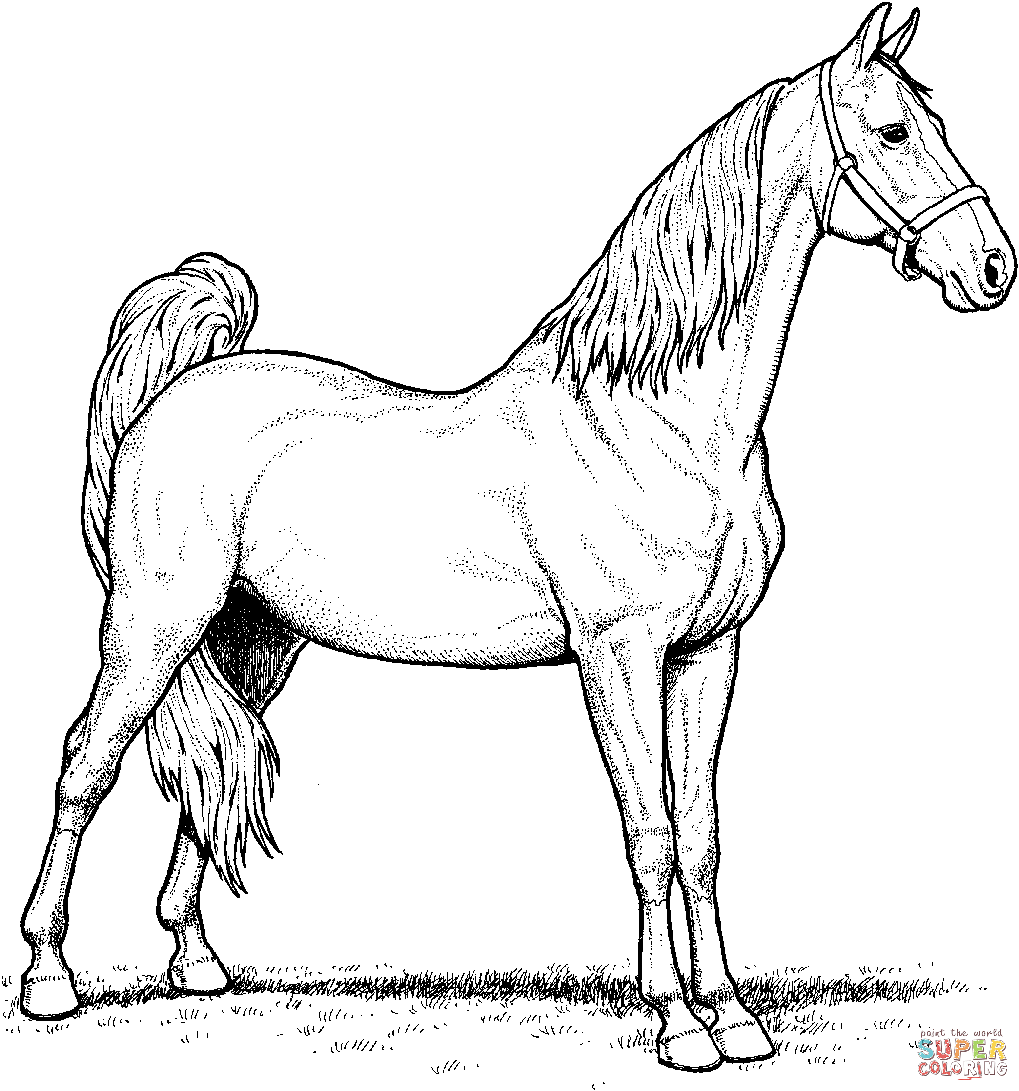 American saddlebred mare horse coloring page free printable coloring pages