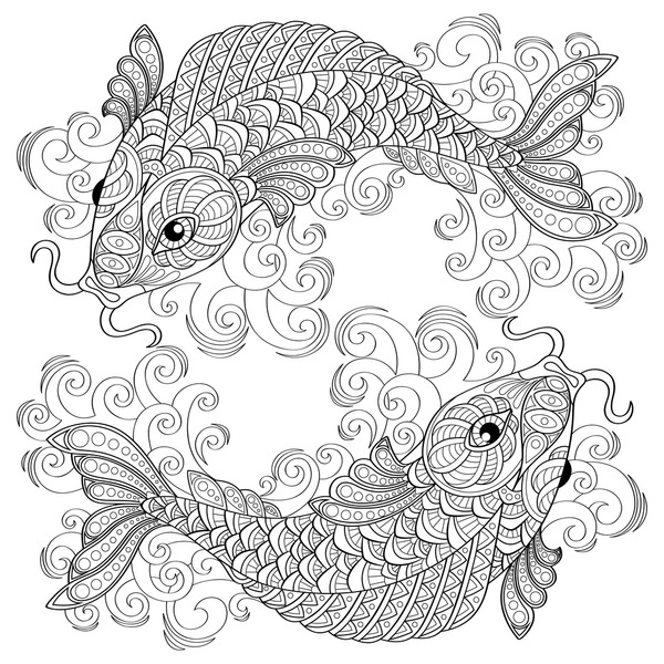 Adult coloring koi fish images stock photos d objects vectors