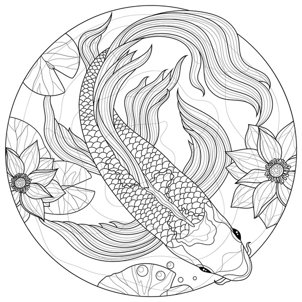 Adult coloring koi fish images stock photos d objects vectors