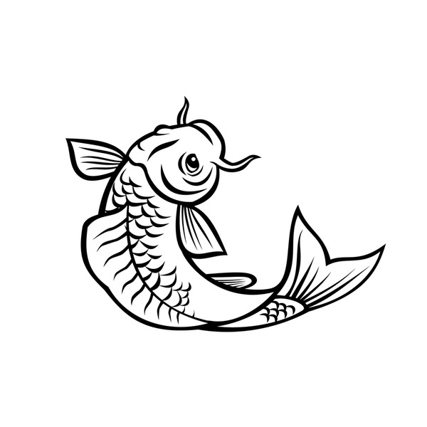 Cyprinus rubrofuscus royalty