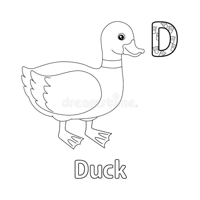 Duck alphabet abc coloring page d stock vector