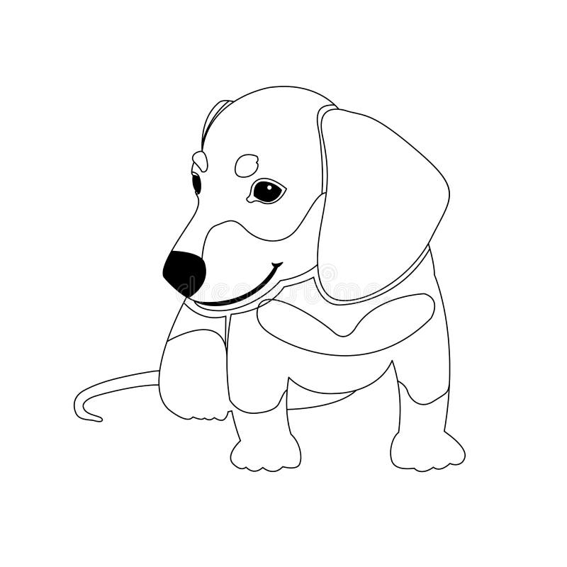Dachshund puppy vector coloring book stock vector