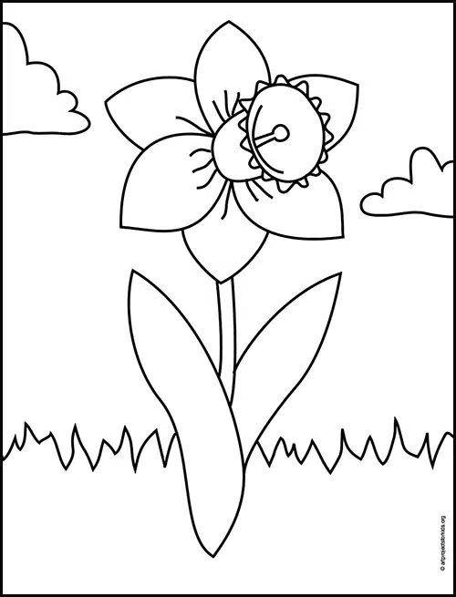 Easy how to draw a daffodil tutorial and daffodil coloring page