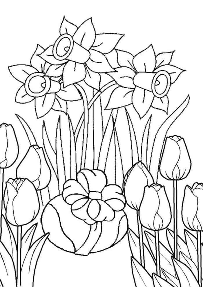 Printable daffodil and tulip coloring pages flower coloring pages coloring pages butterfly coloring page