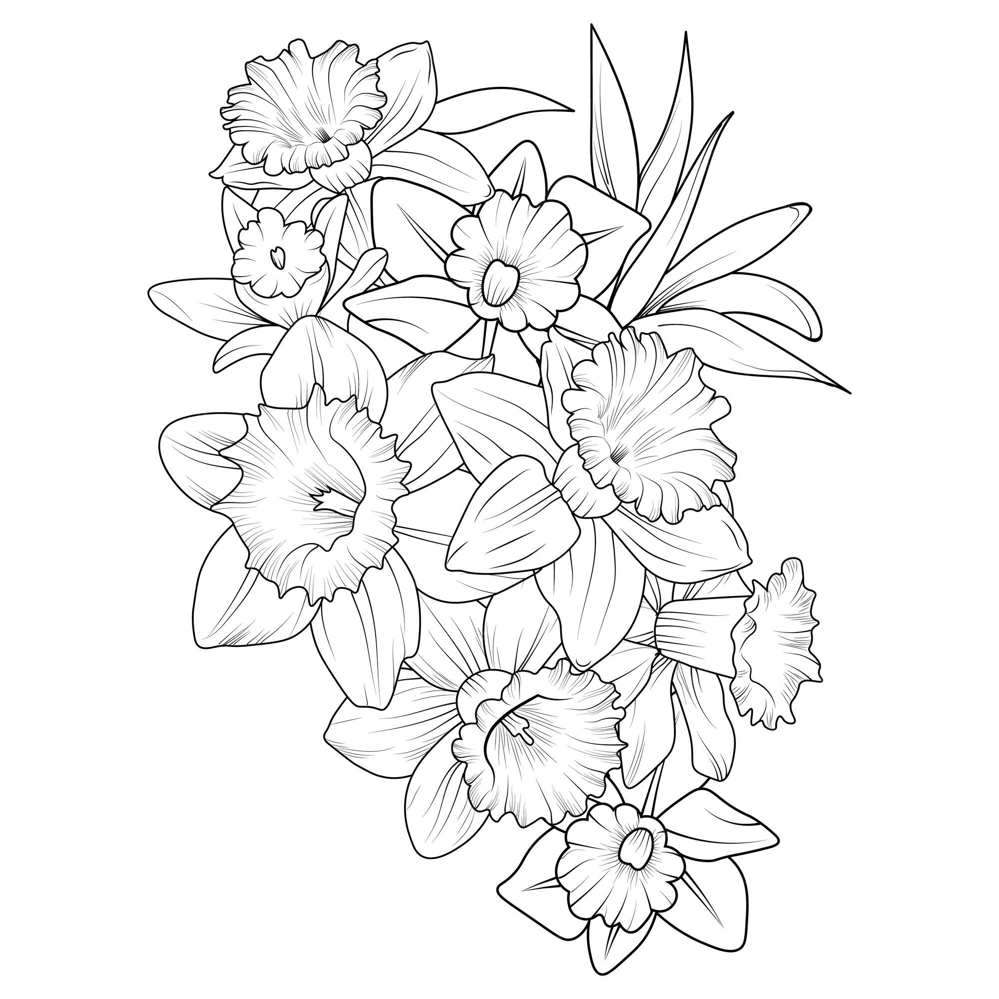 Premium vector hand