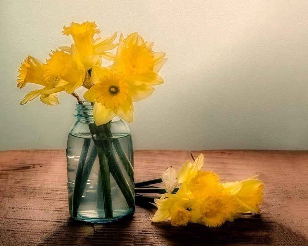 Daffodils in a blue jar fine art still life photography print for home decor wall art handmade products