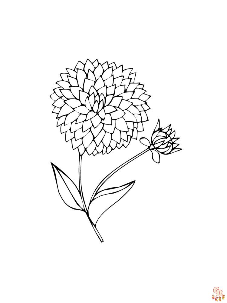 Get creative with dahlia coloring pages free printable and easy