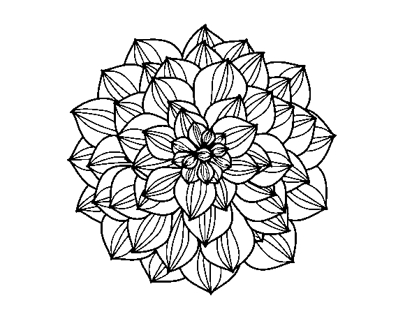 Dahlia coloring page